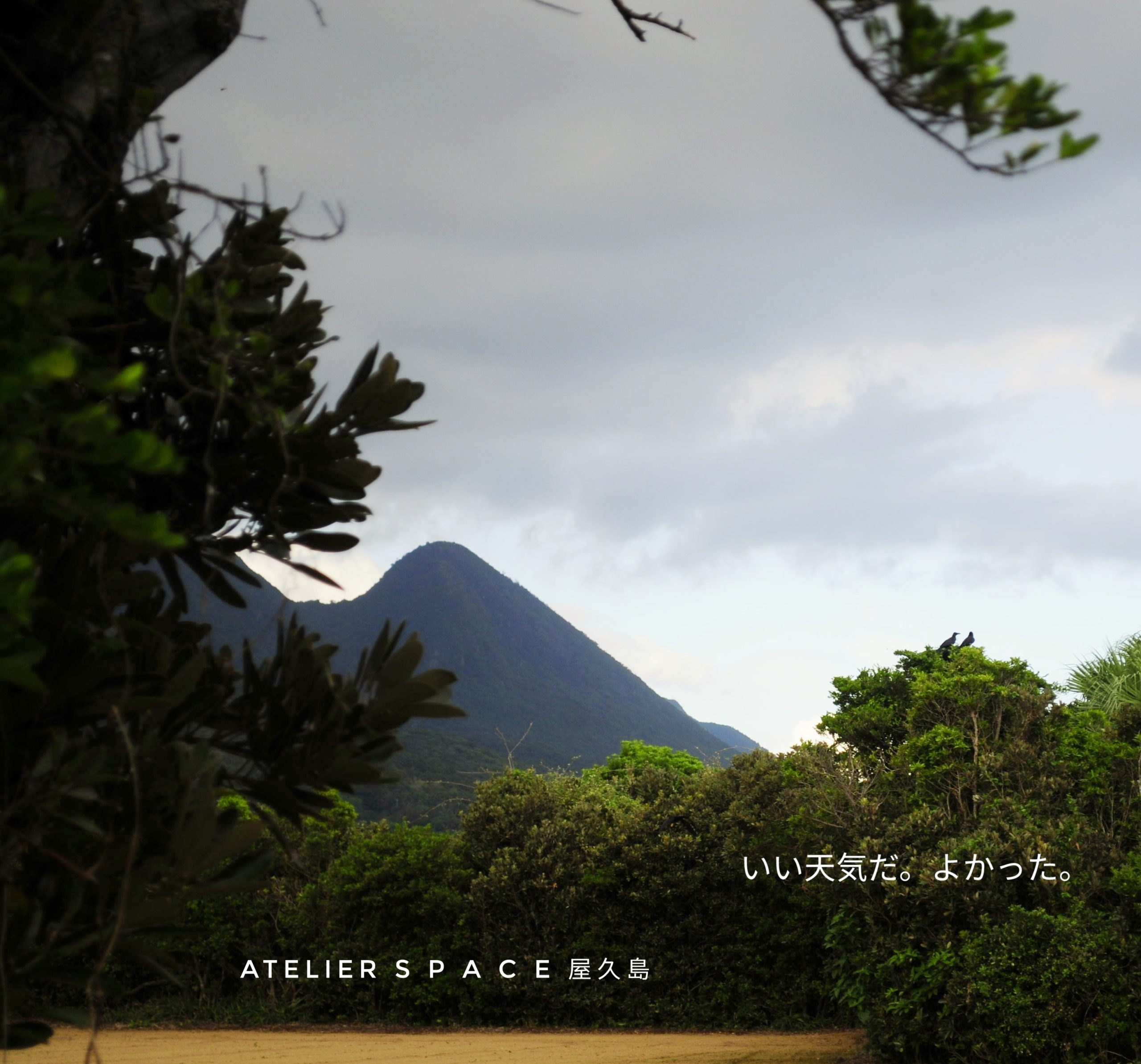 Protected: 屋久島から今晩は